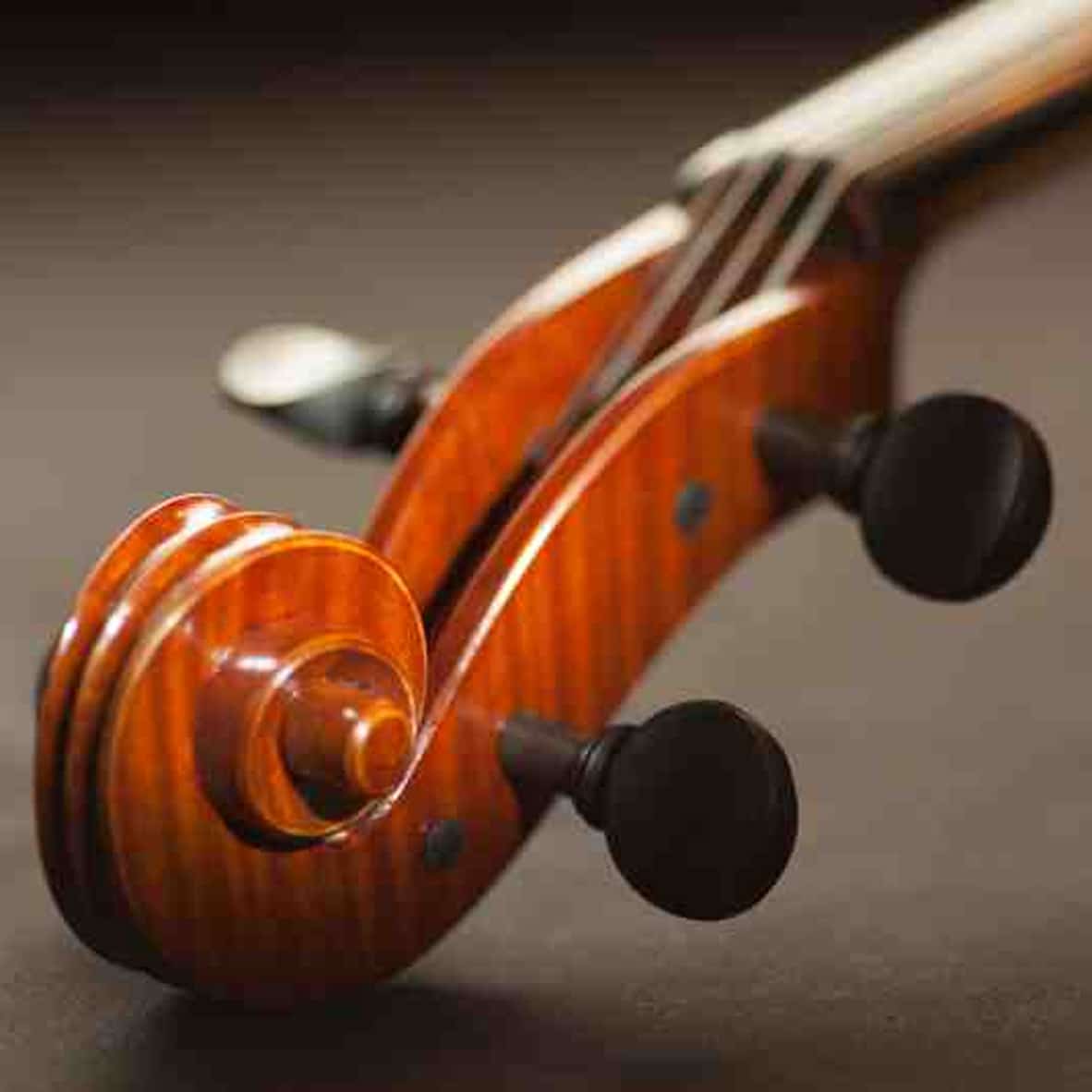 Free Lunch Concerts at the Old Church, 2017